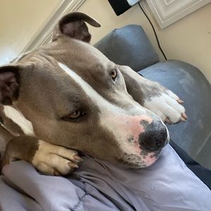 Meet your Posher, Mike